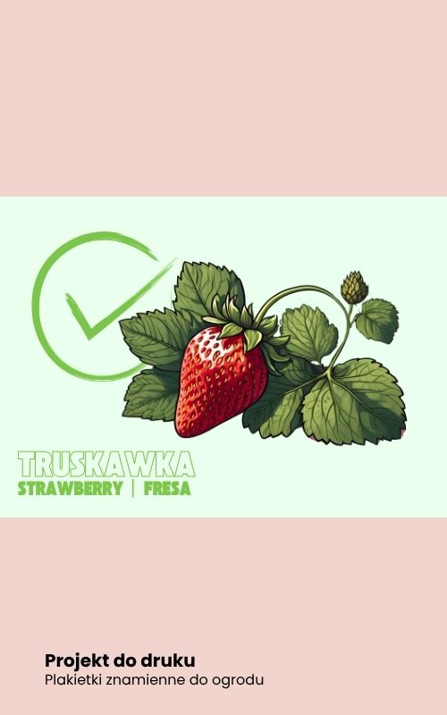 oto portfolio annajarzynka wirtualna asystentka portoflio grafiki animacje druk social media