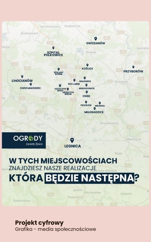 oto portfolio annajarzynka wirtualna asystentka portoflio grafiki animacje druk social media