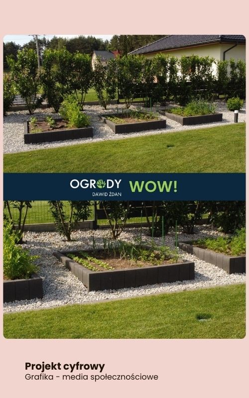 oto portfolio annajarzynka wirtualna asystentka portoflio grafiki animacje druk social media